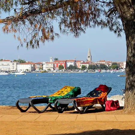 With Parking Space - 22124 * ポレッチ